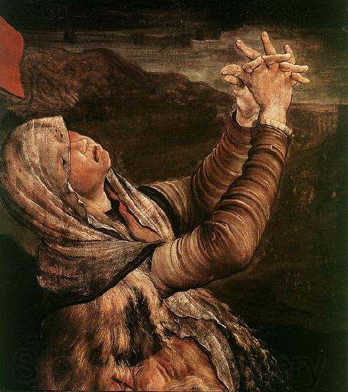 Matthias Grunewald The Crucifixion Spain oil painting art
